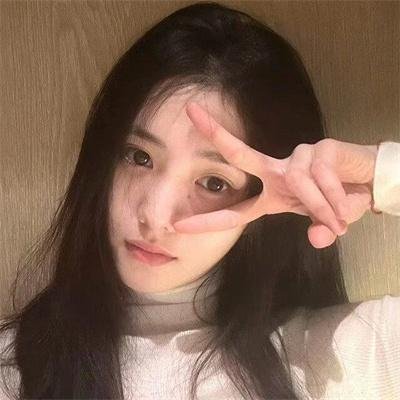 双生赤狐